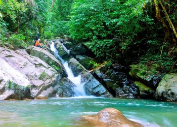 Khu Dự trữ thiên nhiên Động Châu – Khe Nước Trong