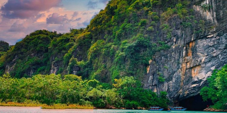 Giá vé tham quan 2025 Vườn quốc gia Phong Nha Kẻ Bàng